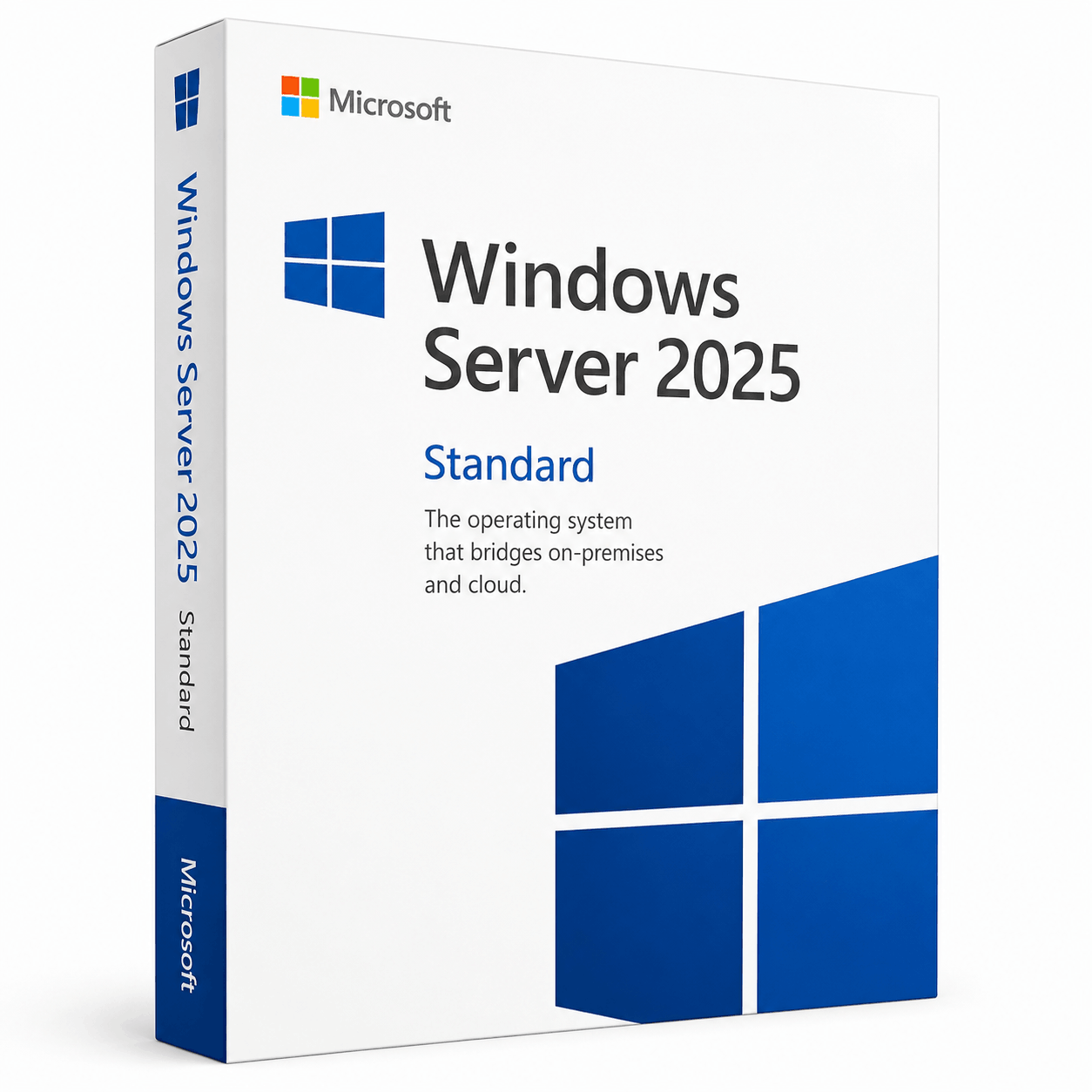 Windows Server 2025
 Standard  Lifetime Key
